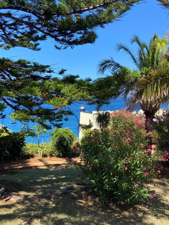 Seashell Caracas Daire Funchal Dış mekan fotoğraf