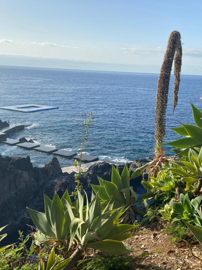 Seashell Caracas Daire Funchal Dış mekan fotoğraf